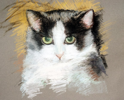 Fine art and illustrations